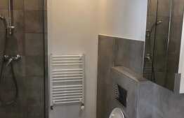 Studio modern in zona centrala a orasului 