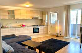 De inchiriat 2 camere, parcare, 54 mp, Zona Platinia. zona Centrala