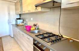 De inchiriat 2 camere, parcare, 54 mp, Zona Platinia. zona Centrala