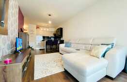 Apartament de lux, 2 camere, bloc nou, complex Platinia