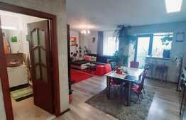 Oportunitate! Gradina de 80 mp, foisor, 2 locuri de parcare, zona Terra