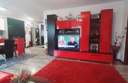 Oportunitate! Gradina de 80 mp, foisor, 2 locuri de parcare, zona Terra