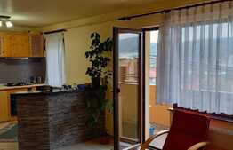 Apartament 2 camere, 47 mp, intermediar, 2 parcari, zona Regal