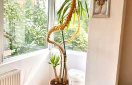 Oferta!! Apartament 2 camere, 56 mp, zona strazii Crinului, zona The Office, Pet friendly