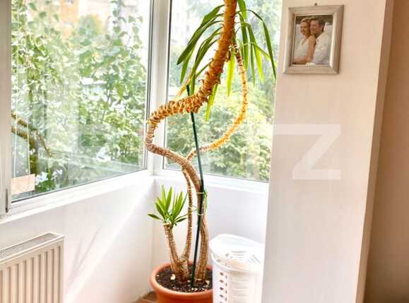 Apartament de închiriat 2 camere Marasti - 56373AI | BLITZ Cluj-Napoca | Poza6