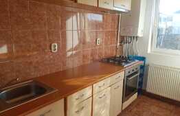 Apartament 2 camere, petfriendly, 55 mp, zona LIDL