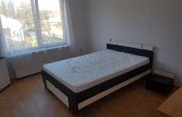 Apartament 2 camere, petfriendly, 55 mp, zona LIDL