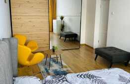 Apartament 2 camere, 50 mp, totul nou, zona strazii Vanatorului