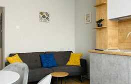 Apartament 2 camere, 50 mp, totul nou, zona strazii Vanatorului