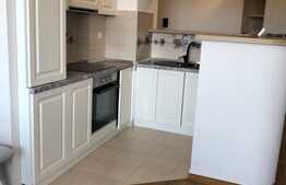 Apartament modern, 55 mp, loc de parcare, zona Borhanciului