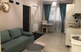Garsoniera , ultrafinisata , 22 mp, zona Campul Painii