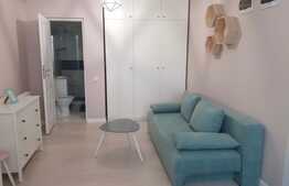 Garsoniera , ultrafinisata , 22 mp, zona Campul Painii