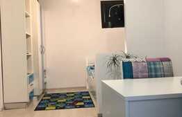 Apartament 4 camere, etaj intermediar, mobilat și utilat LUX zona Câmpului, Kaufland