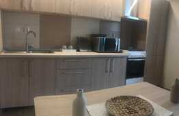 Apartament de vanzare, finisat lux, totul nou! Zona strazii Stejarului!