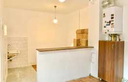 Casa individuala, 107 mp, 3 camere, zona C-tin Brancusi