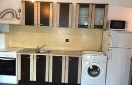 Apartament 2 camere in Vila, zona Corneliu Coposu