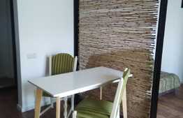 Apartament, 2 camere, 45 mp, zona Cetatii