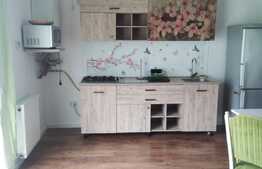 Apartament, 2 camere, 45 mp, zona Cetatii