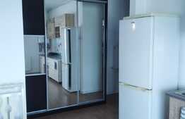 Apartament 2 camere, 45 mp, zona Cetatii
