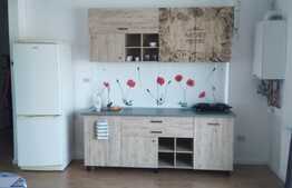 Apartament 2 camere, 45 mp, zona Cetatii