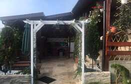 Duplex de vanzare, 127 mp utili, 205 mp teren, Dezmir 