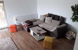 Duplex de vanzare, 127 mp utili, 205 mp teren, Dezmir 