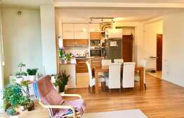 Apartament in Vila, 116 mp, bloc nou, garaj, terasa 38 mp, zona VIVO