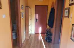 Apartament cu 2 camere, 60mp utili + terasa 22mp, Garaj+boxa, Lift, in Andrei Muresanu