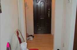 Zona Complex Big, apartament de vanzare 1 camera 24 mp