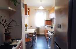 Apartament cu 3 camere,57mp, zona Big