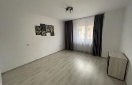 Duplex 4 camere, partial mobilat, 113 mp, zona Ioan Rus