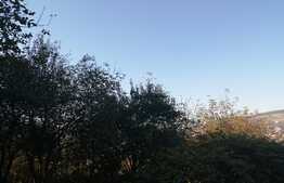 Teren in cartierul  Gruia , 2042 mp  cu Puz in lucru