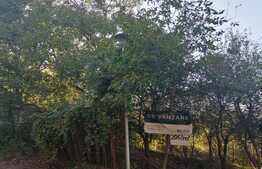 Teren in cartierul  Gruia , 2042 mp  cu Puz in lucru