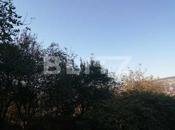 Teren de vânzare Gruia - 56514TV | BLITZ Cluj-Napoca | Poza1