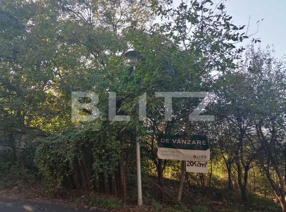 Teren de vânzare Gruia - 56514TV | BLITZ Cluj-Napoca | Poza4