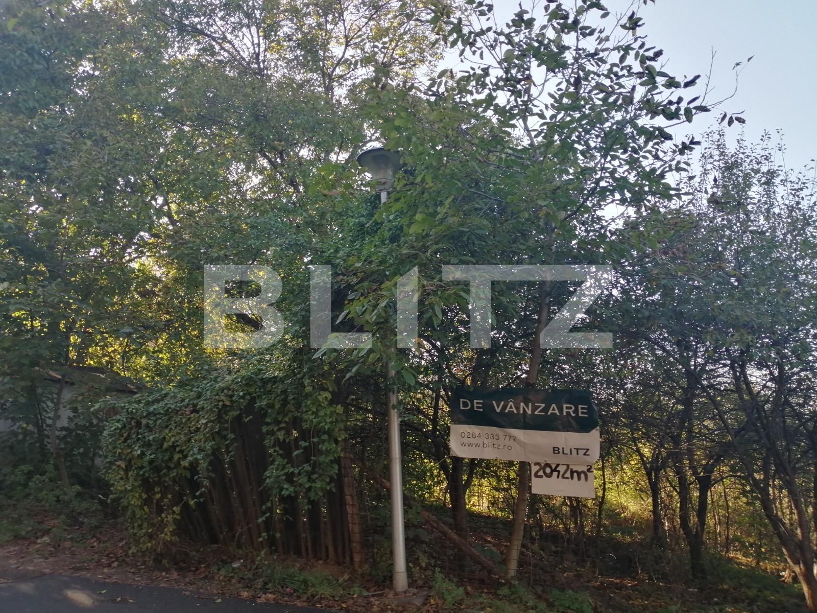 Teren de vânzare Gruia - 56514TV | BLITZ Cluj-Napoca | Poza4