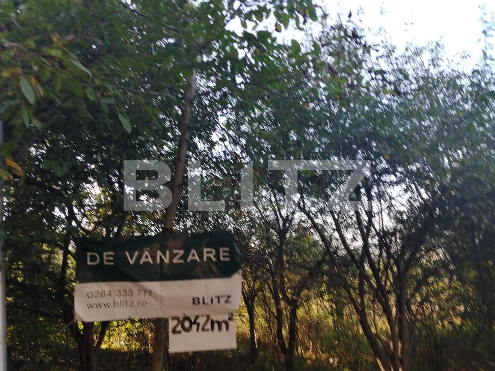 Teren de vânzare Gruia - 56514TV | BLITZ Cluj-Napoca | Poza3