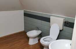 Apartament 3 camere, semidecomandat, mobilat modern, centrala termica proprie, zona strazii Albac