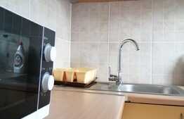 Garsoniera de inchiriat in zona Expo Transilvania