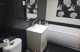 Apartament 2 camere, 55 mp, petfriendly, zona Vivo