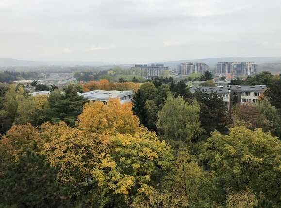 Garsonieră de vânzare Gheorgheni - 56533AV | BLITZ Cluj-Napoca | Poza5