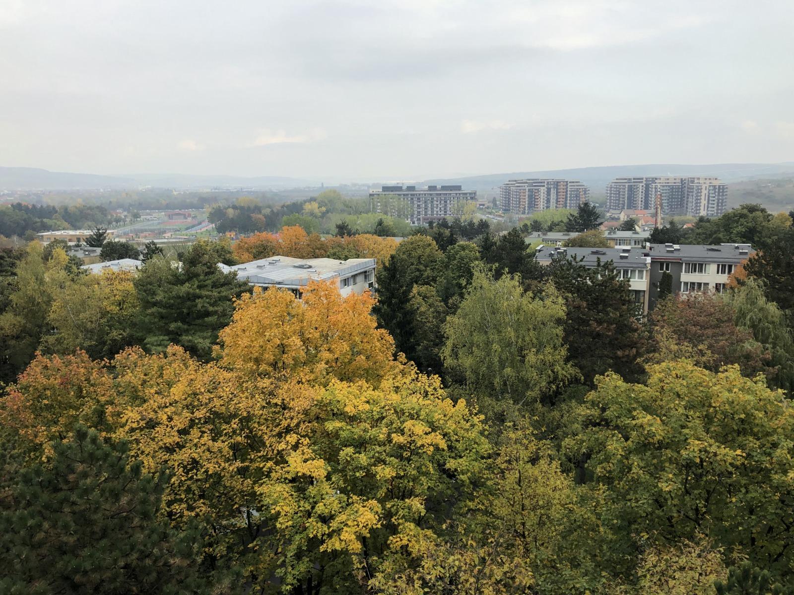 Garsonieră de vânzare Gheorgheni - 56533AV | BLITZ Cluj-Napoca | Poza5