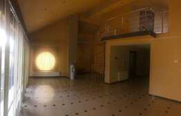 Apartament pe doua niveluri, 281 mp, imobil tip casa, zona Constantin Brancusi!