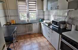 Apartament cu 3 camere, 68 de mp, pet friendly, zona Bucium