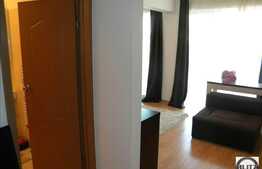 Vanzare apartament 33 mp la etaj intermediar pe Calea Baciului!