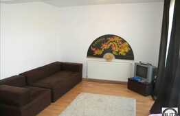 Vanzare apartament 33 mp la etaj intermediar pe Calea Baciului!