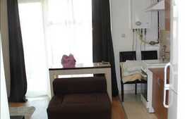 Vanzare apartament 33 mp la etaj intermediar pe Calea Baciului!