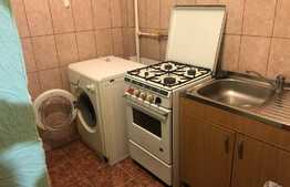 Apartament 1 camera, 30 mp, pet friendly, zona strazii Bucegi