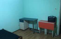 Apartament 1 camera, 30 mp, pet friendly, zona strazii Bucegi