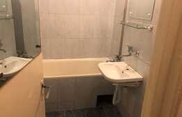 Apartament 1 camera, 30 mp, pet friendly, zona strazii Bucegi